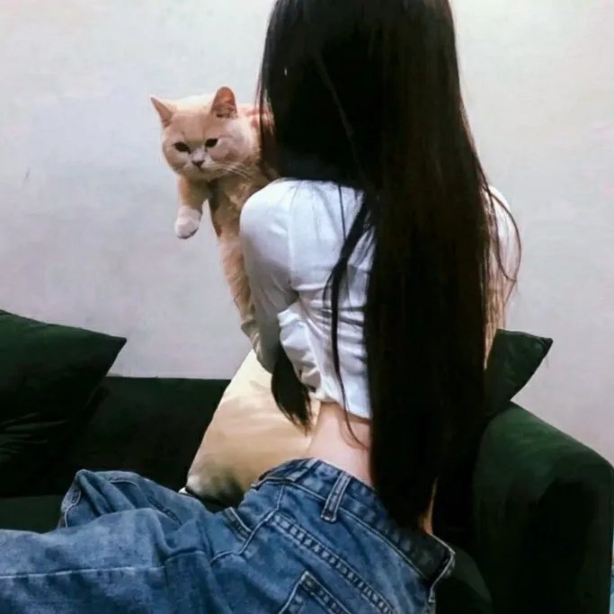 不归的使者