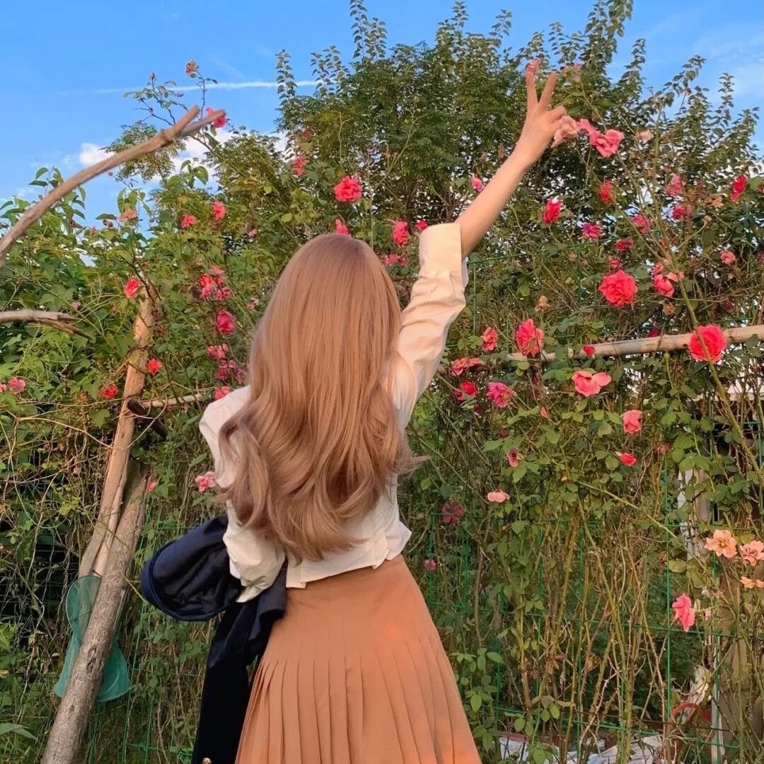 铳梦：战斗天使